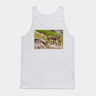 Ibex Tank Top